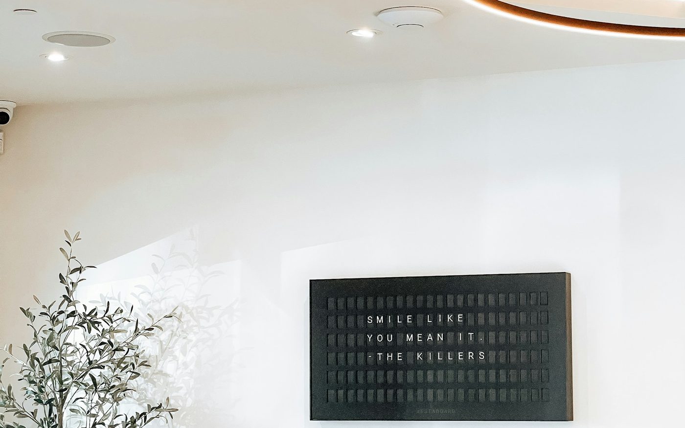 A calm, welcoming chiropractic office